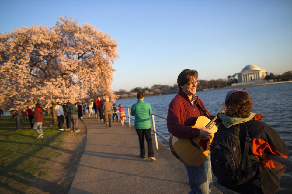 Nick Cath of Fairfax, Va., plays the guitar for Amanda Pappas, of Falls Church, Va., as they view the cherry blossom trees near the Tidal Basin, on Wednesday, April 9, 2014, in Washington. (AP Photo/ Evan Vucci)