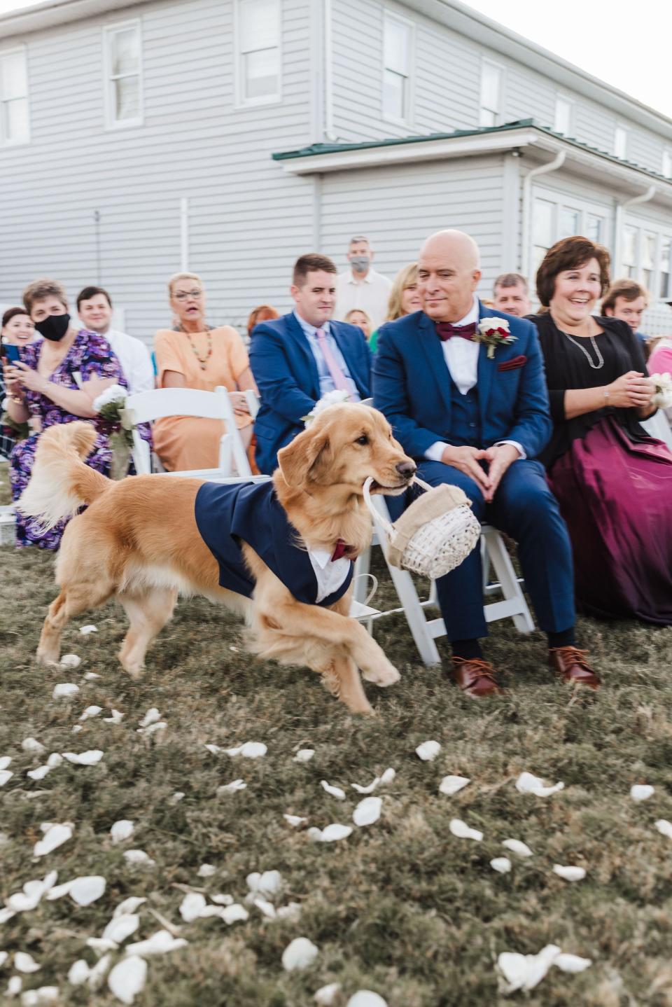 dog wedding party