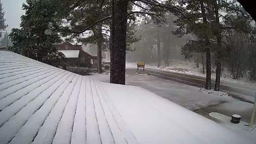 Snow starting to blanket the Laguna Mountain Lodge at 12:18 p.m. on Jan. 3, 2024. (Courtesy of Laguna Mountain Lodge)