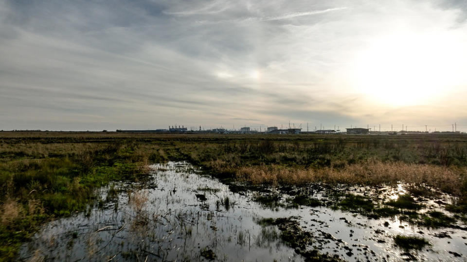 A natural gas plant outside of Cameron, Louisiana (Michael Gemelli / NBC News)