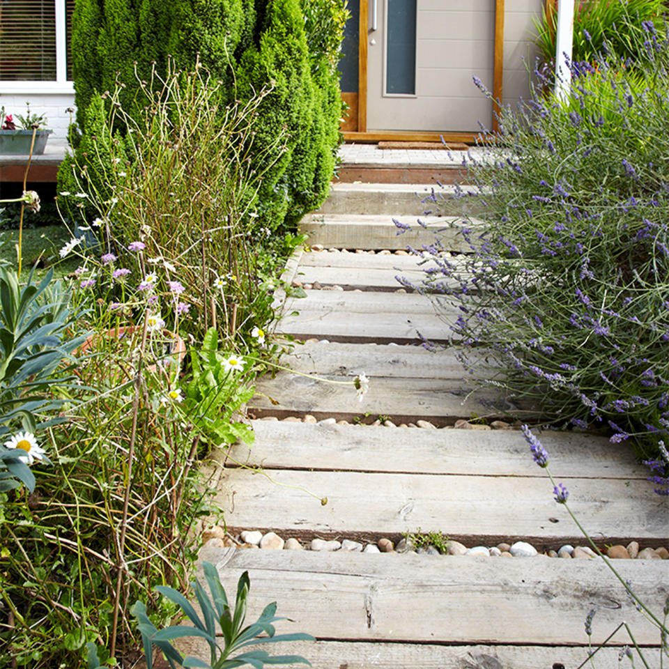 driftwood boardwalk garden path with plants