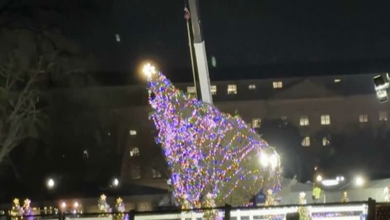 In this image made from video, the national Christmas tree hangs from a crane in front of the White House as a crew works to lift it back up after it fell on Tuesday, Nov. 28, 2023, amid high winds.