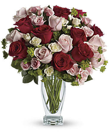 <a href="https://fave.co/2B2QoxM" target="_blank" rel="noopener noreferrer"><strong>Shop these&nbsp;flowers here</strong>﻿</a>.