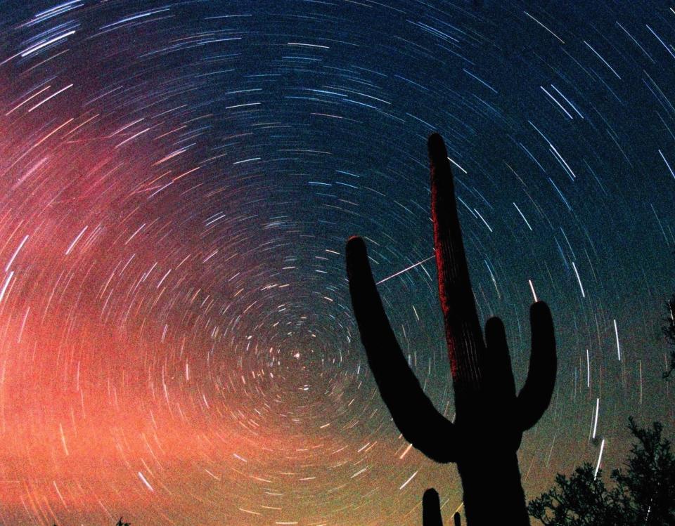 A meteor from the Leonids meteor shower, visible as a diagonal streak between the fingers of a cactus plant, is seen in this time exposure early Sunday, Nov. 18, 2001, in Tucson, Ariz.