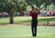 Mar 11, 2018; Palm Harbor, FL, USA; Tiger Woods plays from the fairway on the 2nd during the final round of the Valspar Championship golf tournament at Innisbrook Resort - Copperhead Course. Jasen Vinlove-USA TODAY Sports