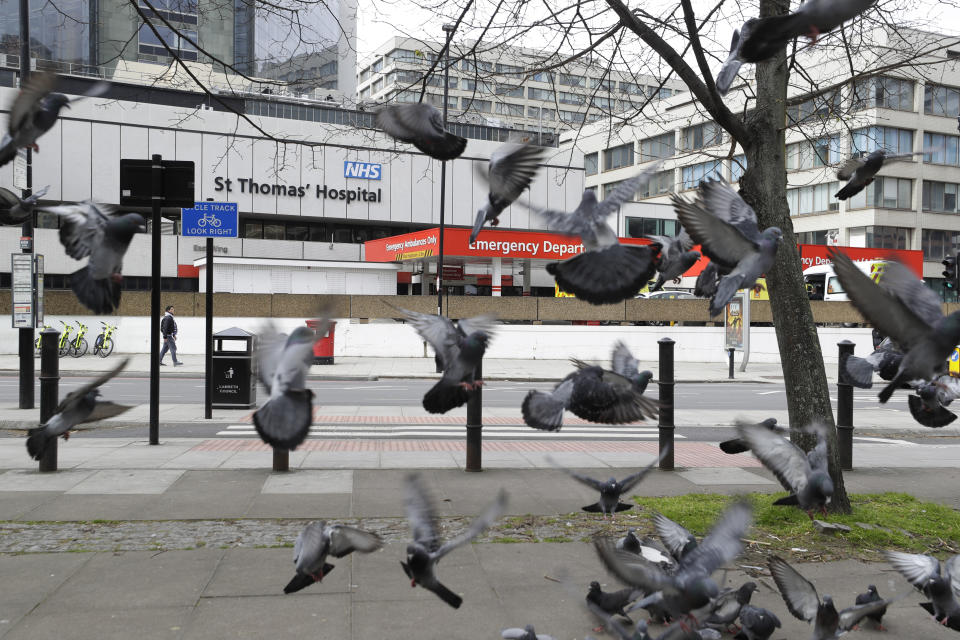 FILE - In this Tuesday, March 31, 2020 file photo pigeons fly as they come into get some food on the pavement opposite St Thomas' Hospital, one of the many hospitals dealing with coronavirus patients in London. (AP Photo/Kirsty Wigglesworth, File)