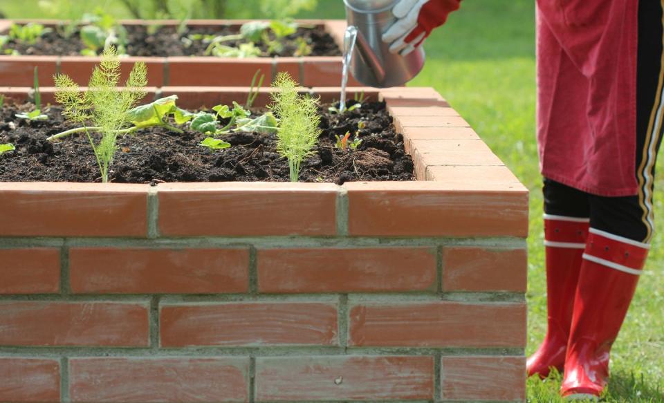 <p>There's no reason why durable bricks can't be used as garden beds. You can even paint them in bold hues if you're really up for showing off your creativity.</p>