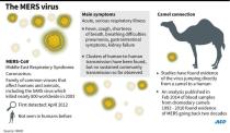 More than 20 countries have been affected by the MERS virus