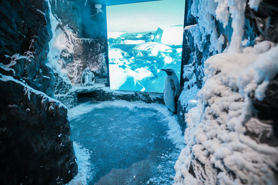 Bosideng’s “snow room” at its London flagship.