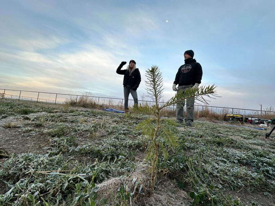 Jaemye Brandon, left, talks about converting an alfalfa farm to a Christmas tree farm
near Tremonton on Nov. 1. 