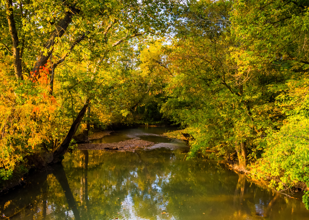 A creek in rural Dams Count, Iowa.