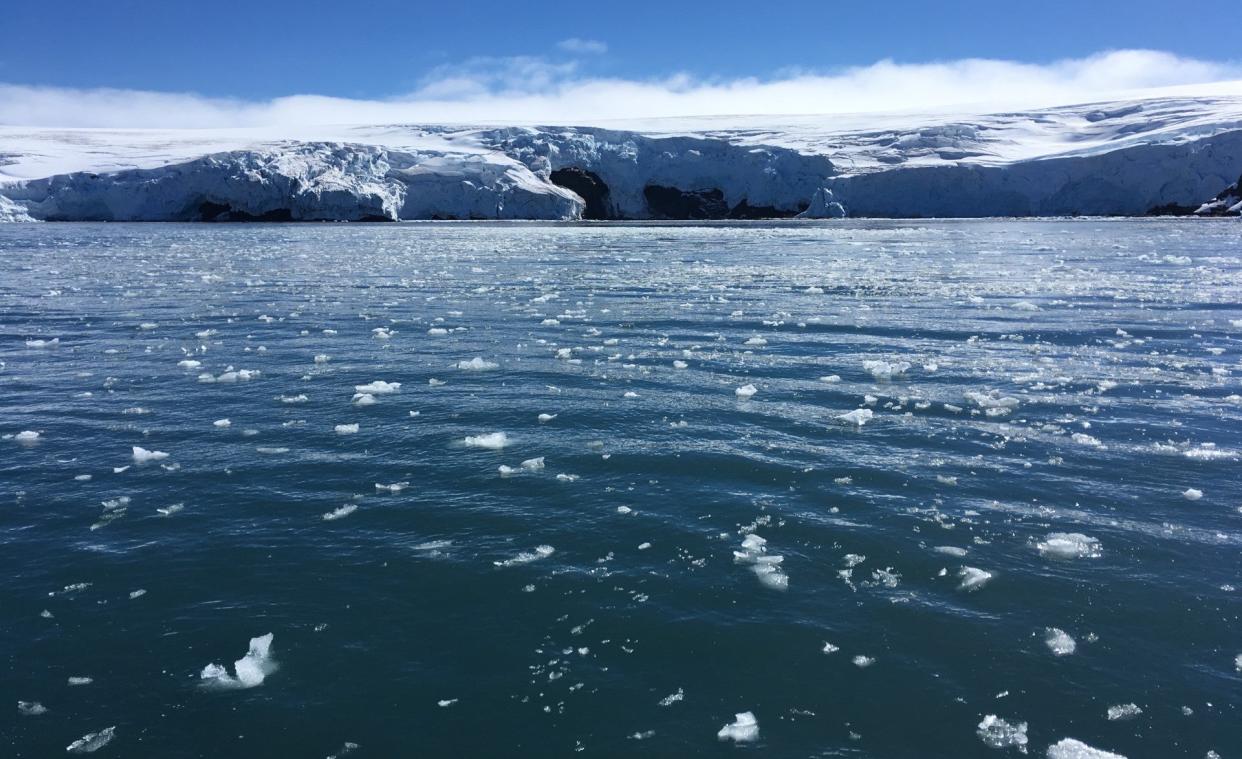 southern ocean antarctica national geographic fifth 5th ocean basin june 8 world ocean day