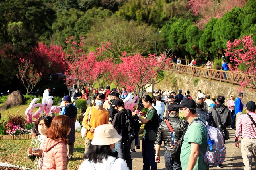 陽明公園內今盛大舉行「台北櫻花盃街舞大賽」。 （台北市政府提供）