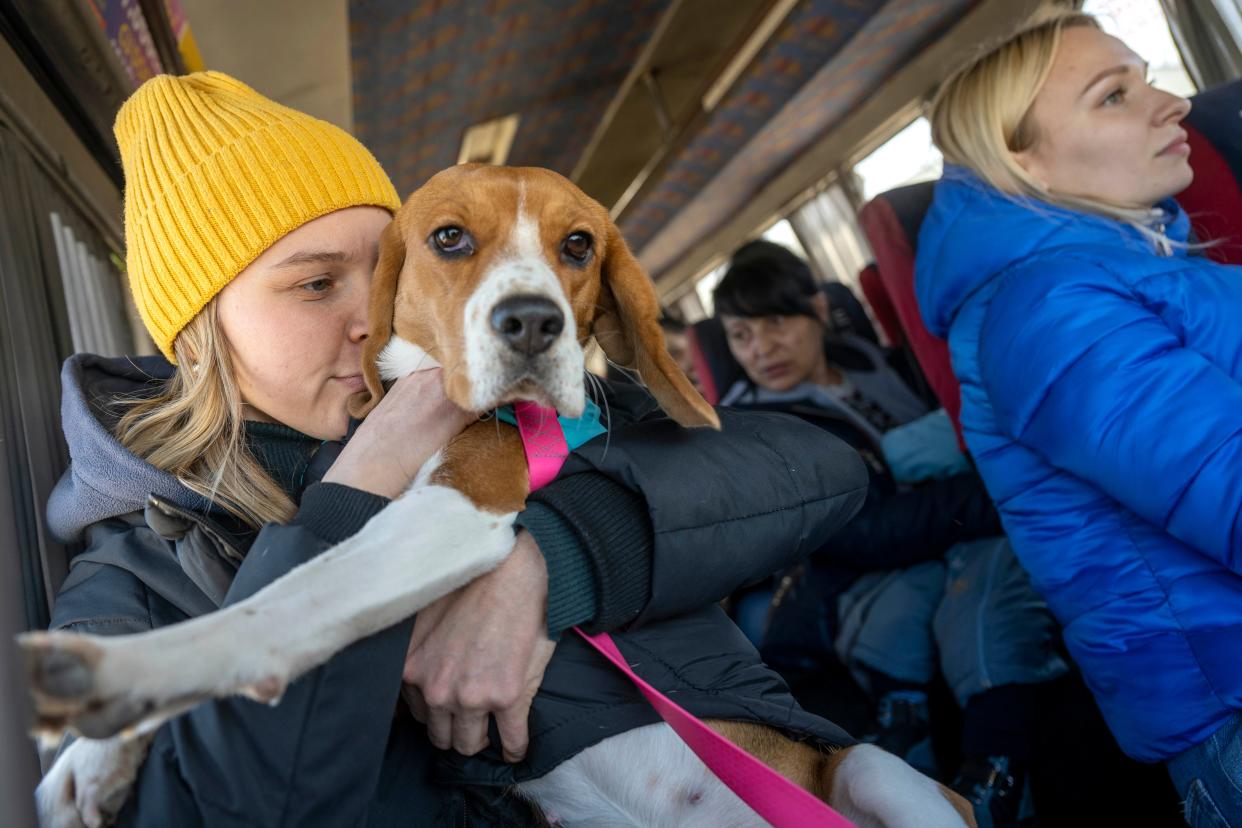 Ukrainians fleeing war finally make it to the safety of Moldova on a UNHCR bus at the border crossing in Palanca, Moldova, on Tuesday, March 22, 2022.