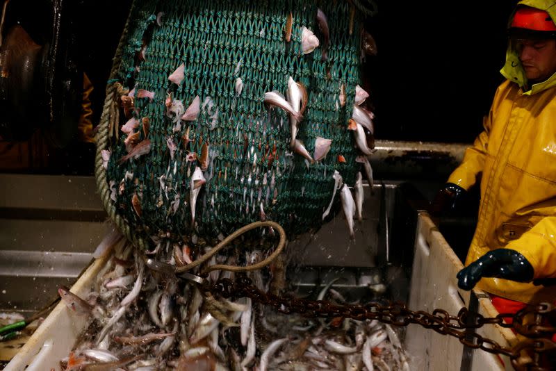 On board the French fishing vessel Nicolas Jeremy in the North Sea