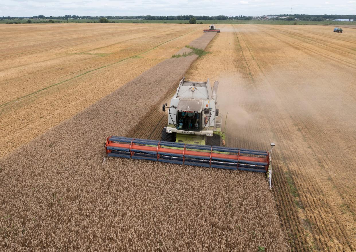 The Russian invasion led to a surge in Ukrainian grain ending up in Europe (Copyright 2022 The Associated Press. All rights reserved)