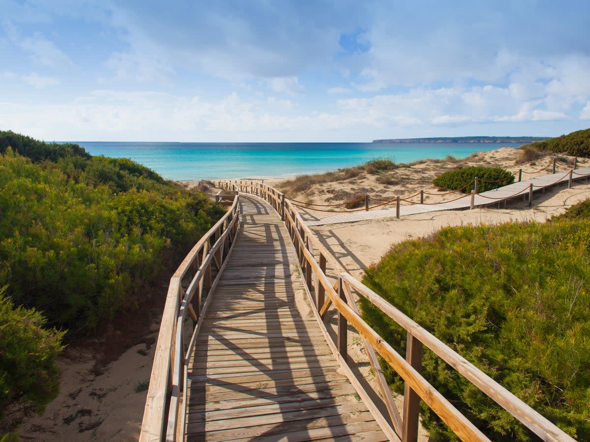 Platja de Migjorn in Formentera (AETIB)