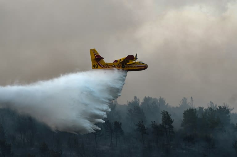 Un Canadair français participe à la lutte contre les incendies à Lefkimmi, dans le nord de la Grèce, le 2 septembre 2023 (Sakis MITROLIDIS)