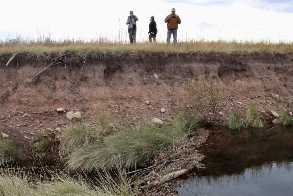 Taking a look from above can offer a great vantage point for seeing beaver activity. Here, three volunteers examine the San Pedro River below for beaver activity.