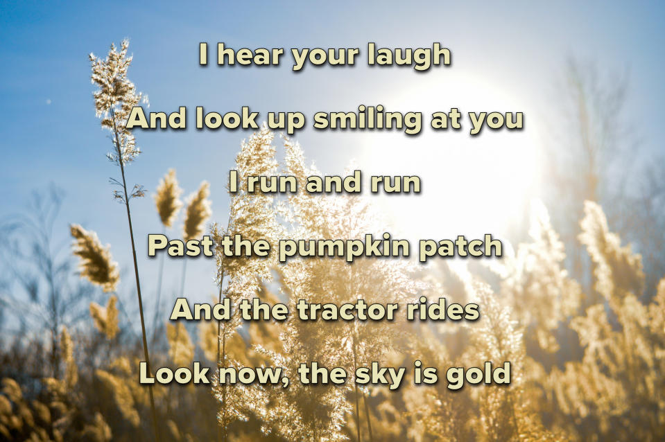 Photo of a wheat field with lyrics from "The Best Day" by Taylor Swift written in text