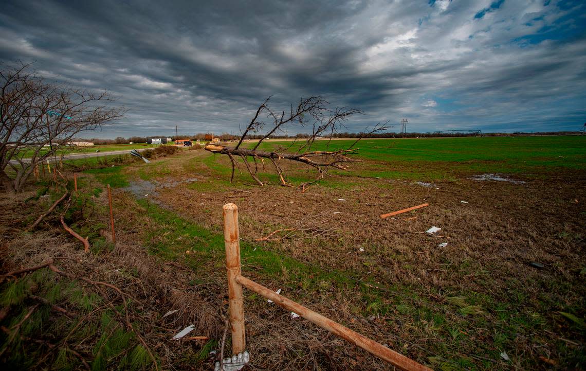 The top half of a tree lands on a pasture 50 yards away from where it was ripped off by the strong winds. A tornado touched down just south of Decatur, Texas, along FM 730 early morning Tuesday, Dec. 13, 2022, tearing the roof off of a home and ripping trees in half. Debris was strewn across the highway.