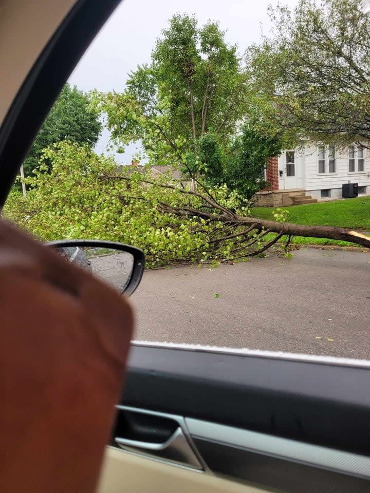 Storm Damage in the Miami Valley