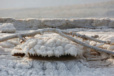 Mineral deposits can be seen at the shore of the dead sea near Kibbutz Ein Gedi, Israel November 15, 2016. REUTERS/Nir Elias