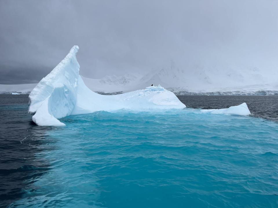 Cunningham's visit to the Antarctic inspired her to speak out (EE Cunningham) 