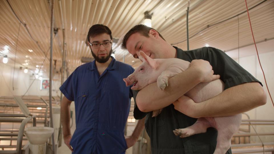 Abraham Espinoza (left) and Matthew Rooda, the founders of SwineTech, will be featured on a PBS documentary this month about inventors. One of the Iowa company's products helps prevent sows from crushing their babies.