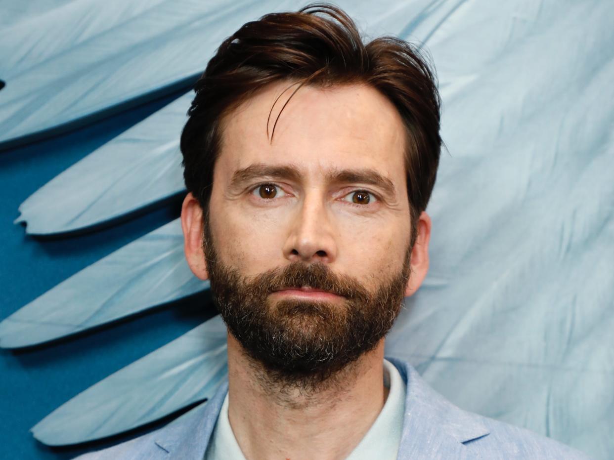 David Tennant (Gregory Pace/Shutterstock)