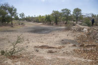 A man walks alongside a dried up stream in Mudzi, Zimbabwe, on July 2, 2024. In Zimbabwe, an El Nino-induced drought is affecting millions of people, and children are most at risk. (AP Photo/Aaron Ufumeli)