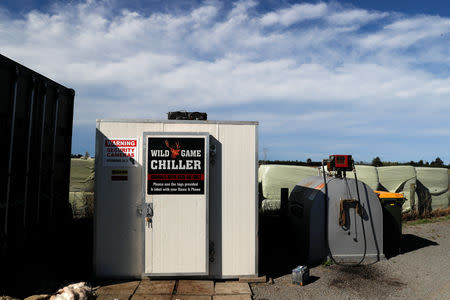 A hunted animals fridge is seen at Canterbury Homekill facilities outside Christchurch, New Zealand March 27, 2019. REUTERS/Jorge Silva