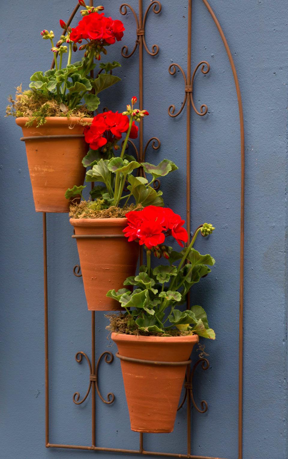 15. Trio of clay pots