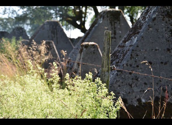 All around the Huertgen area, one can find vestiges of the Siegfried Line, a line of defense constructed by the Germans to impede advancing Allied forces. These are called "Dragon's Teeth," which were reinforced concrete pyramids built in a line miles long, and meant to hold up advancing tanks and troop carrying trucks.    Photo: David Kiley/HuffPost Travel