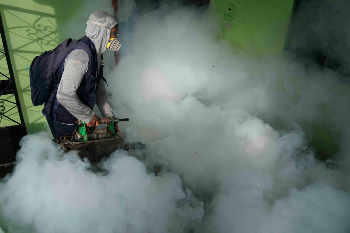 Record Dengue Cases in Latin America and the Caribbean Prompt Calls for Proactive Measures