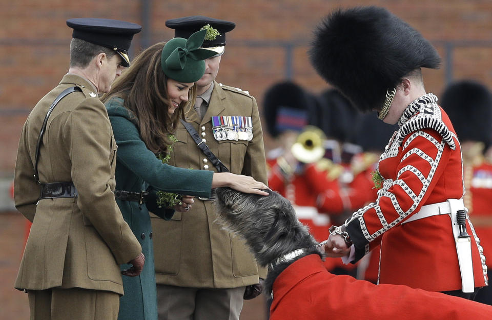 Kate, The Duchess of Cambridge strokes Domhnall the Irish Wolfhound before presenting him with a shamrock, during a visit to the 1st Battalion Irish Guards at the St. Patrick's Day Parade at Mons Barracks, Aldershot, in England, Monday, March 17, 2014. The Duke of Cambridge attended the Parade as Colonel of the Regiment. The Duchess of Cambridge presented the traditional sprigs of shamrocks to the Officers and Guardsmen of the Regiment. (AP Photo/Kirsty Wigglesworth)