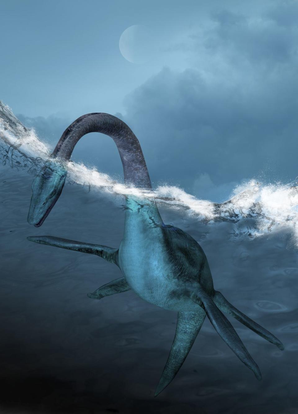 Sir David Attenborough: Attenborosaurus