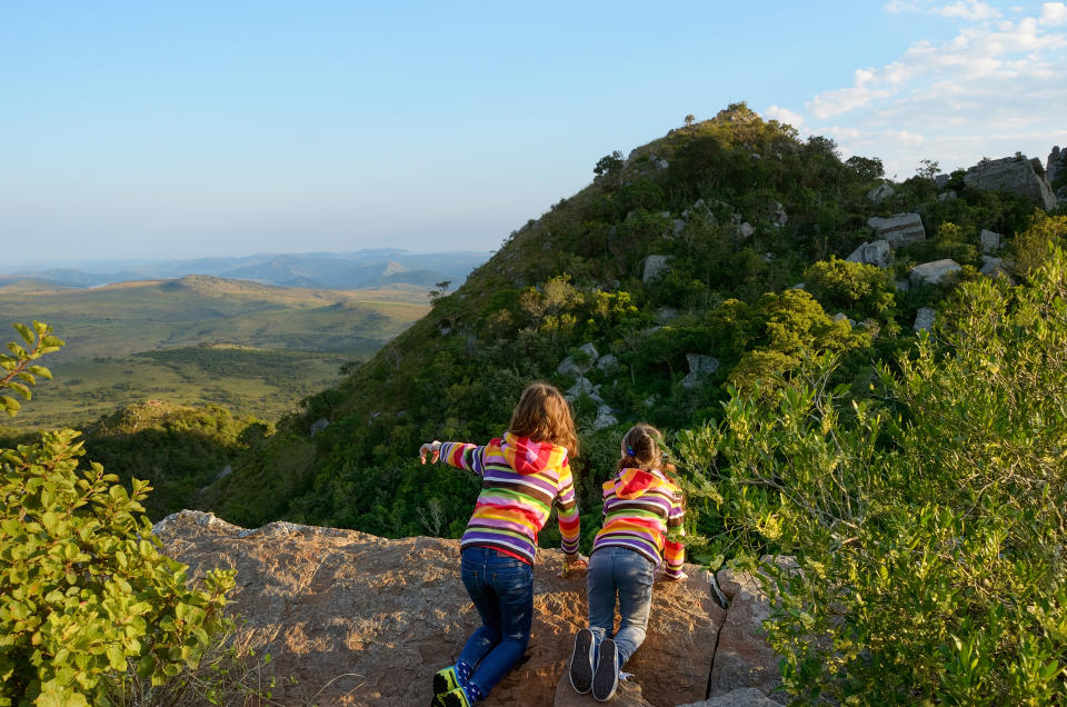 Afrique du Sud (Crédit : Getty Images)