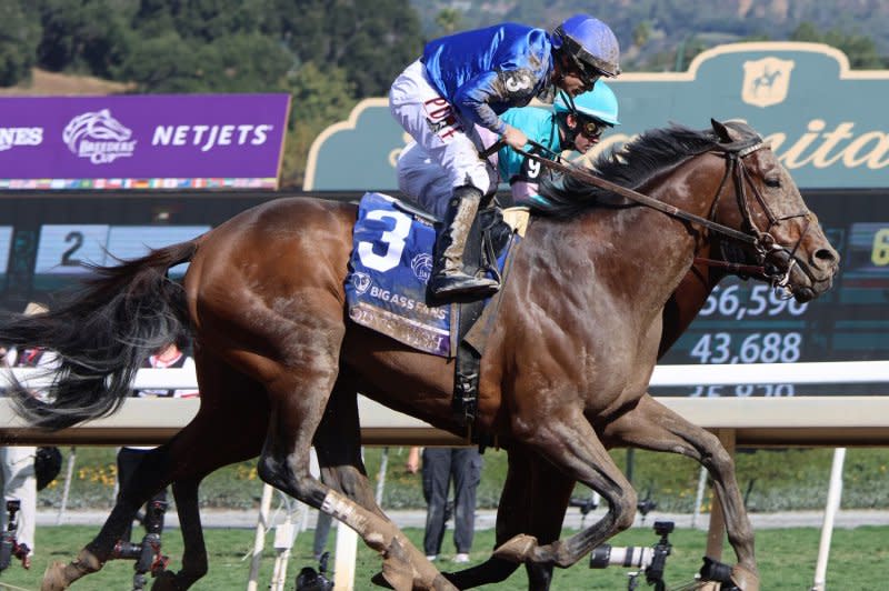 Cody's Wish, ridden by Junior Alvarado, edges National Treasure (inside rail, hidden) to win the Breeders' Cup Dirt Mile during the 40th running of the Breeders' Cup Championships at Santa Anita Park in Arcadia, Calif., on Saturday. Photo by Mark Abraham/UPI