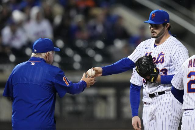 Mets blank the Marlins, win NL East - Taipei Times