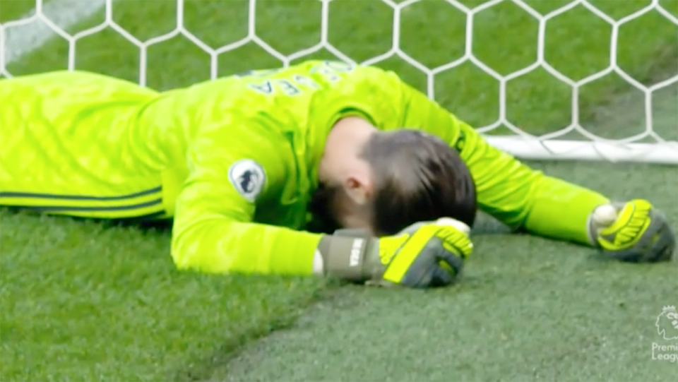 David De Gea, pictured here after making a horrible mistake.