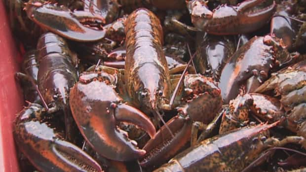 Nautical Seafoods of Annapolis County sells lobster and scallops.