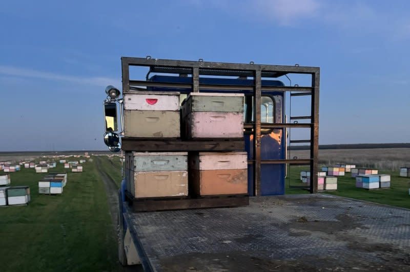 A flatbed truck carries beehives ready for placement in the Central Valley to assist with the annual almond blossom pollination event. Photo by Fresno County Sheriff's Department