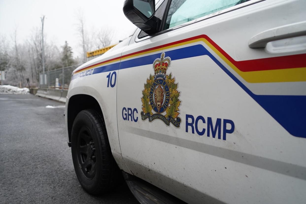 Queens District RCMP responded to a report of an assault at 11 p.m. When officers arrived they noticed a fire at a nearby seasonal residence.   (CBC/Radio-Canada - image credit)