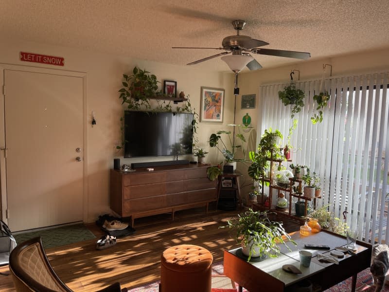 Modern wooden media cabinet next to a sling glass door shining sun on a large variety of plants.