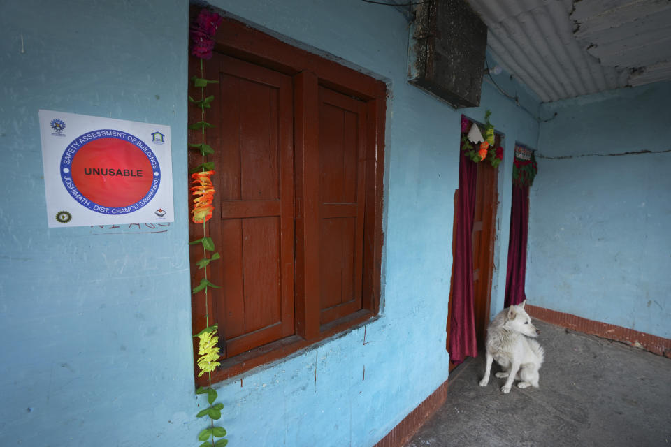 A dog guards an abandoned home, whose owner left following the 'unusable' sticker pasted on the house by government order in Joshimath, in India's Himalayan mountain state of Uttarakhand, Jan. 19, 2023. Big, deep cracks had emerged in over 860 homes in Joshimath, where they snaked through floors, ceilings and walls, making them unlivable. Roads were split with crevices and multi-storied hotels slumped to one side. Authorities declared it a disaster zone and came in on bulldozers, razing down whole parts of a town that had become lopsided. (AP Photo/Rajesh Kumar Singh)