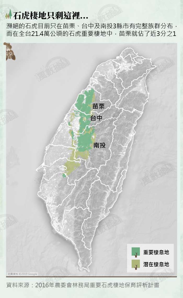 20190226-SMG0035-風數據／石虎專題。石虎棲地只剩這裡。切割圖-3