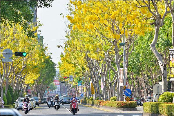 高雄文化中心（圖片來源：高雄市政府）