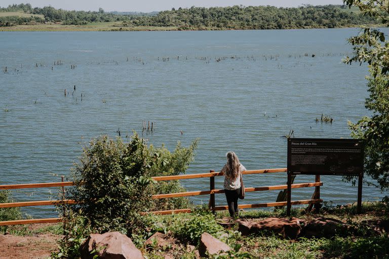Uno de los miradores frente a un río Paraná que corre encajonado y angosto, con Paraguay enfrente, a unos 300 metros