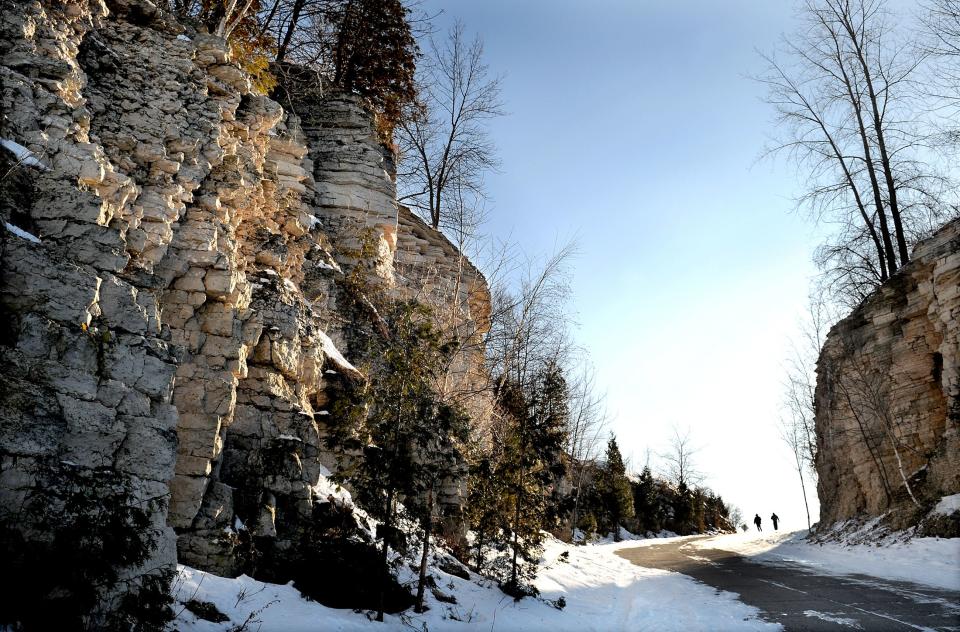 The oldest tree in Wisconsin is not a towering pine or a massive oak. It's a scrub of a tree growing unnoticed from the side of a cliff.